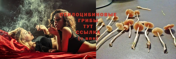 mdma Заводоуковск
