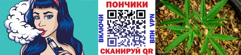 Шишки марихуана марихуана  Купить где  Курлово 
